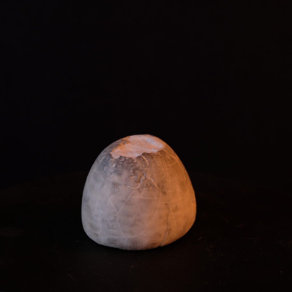 Seeigel-Gehäuse, fossil