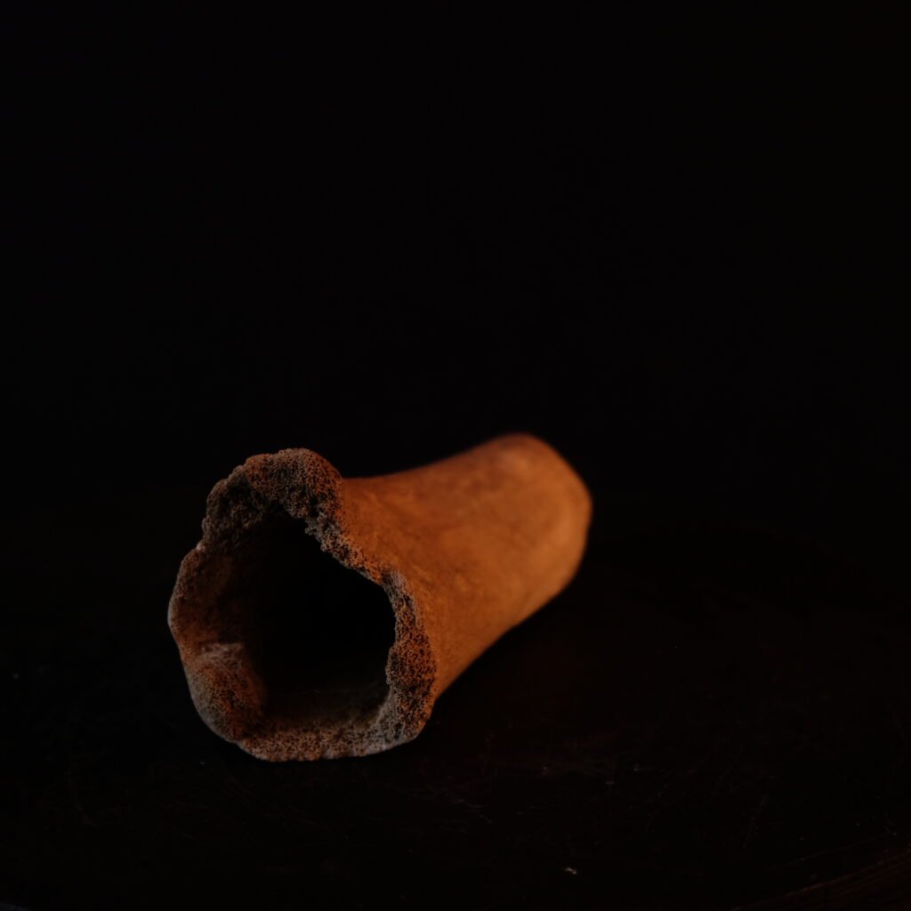 Knochenfragment