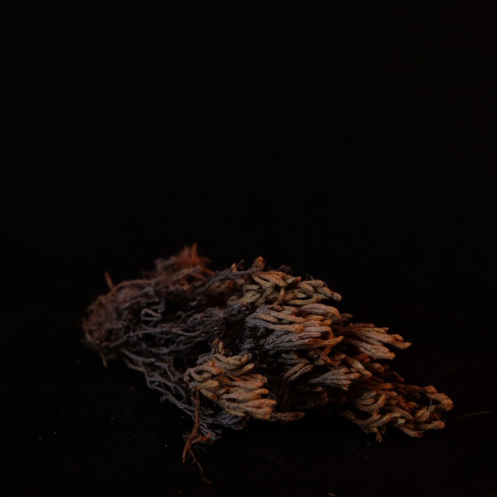 unbekannt