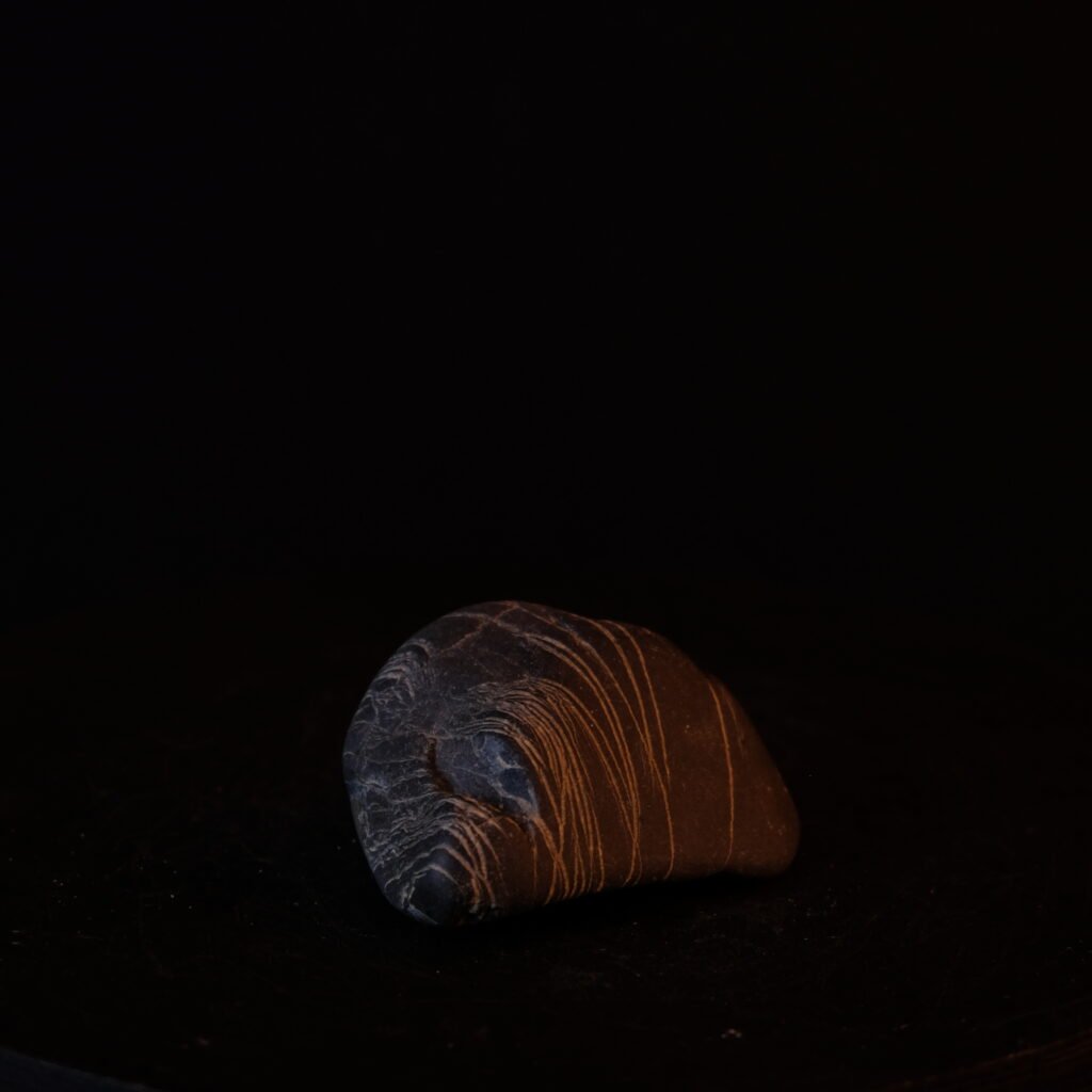 Kieselstein mit Quarzadern
