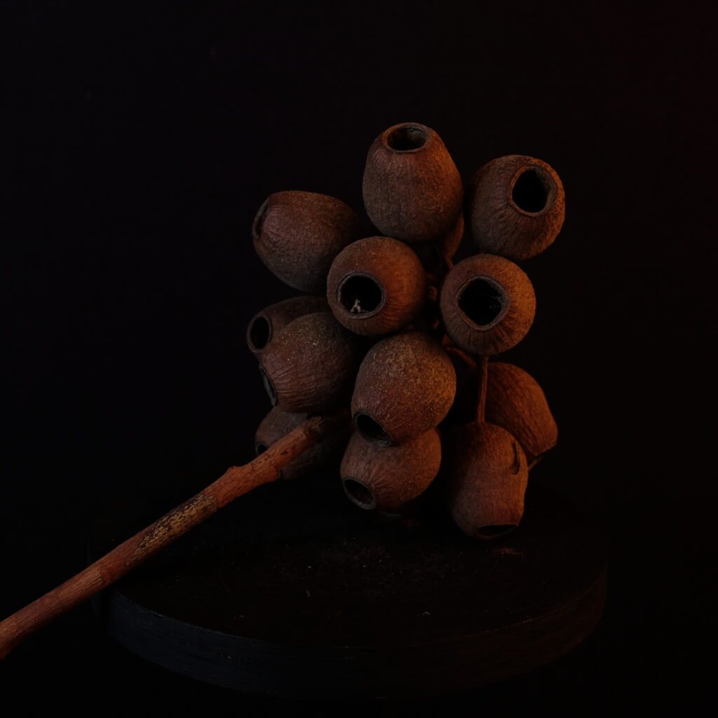 unbekannt