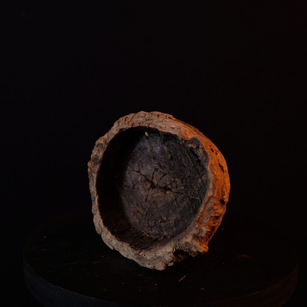 Holzscheibe