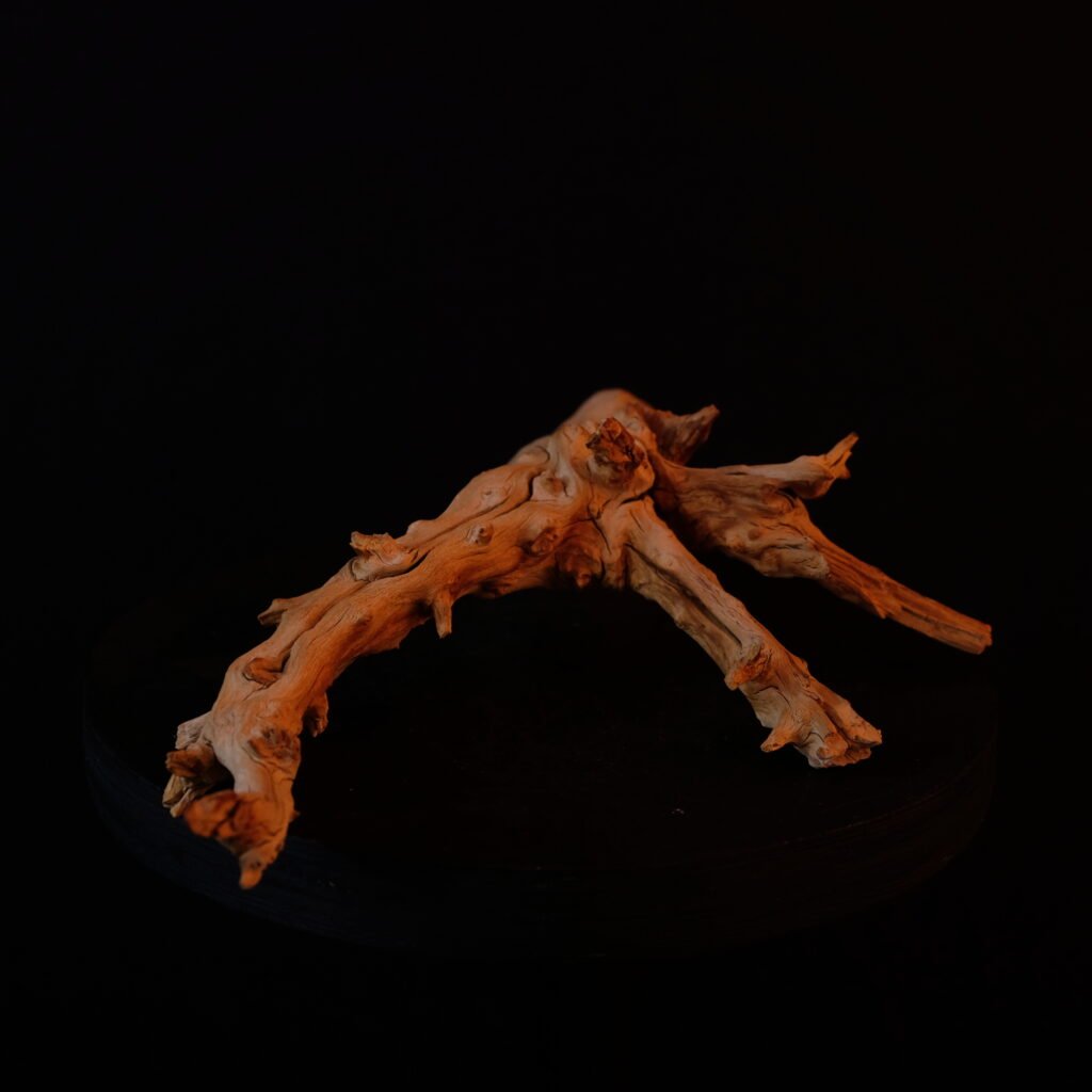 Holzstück