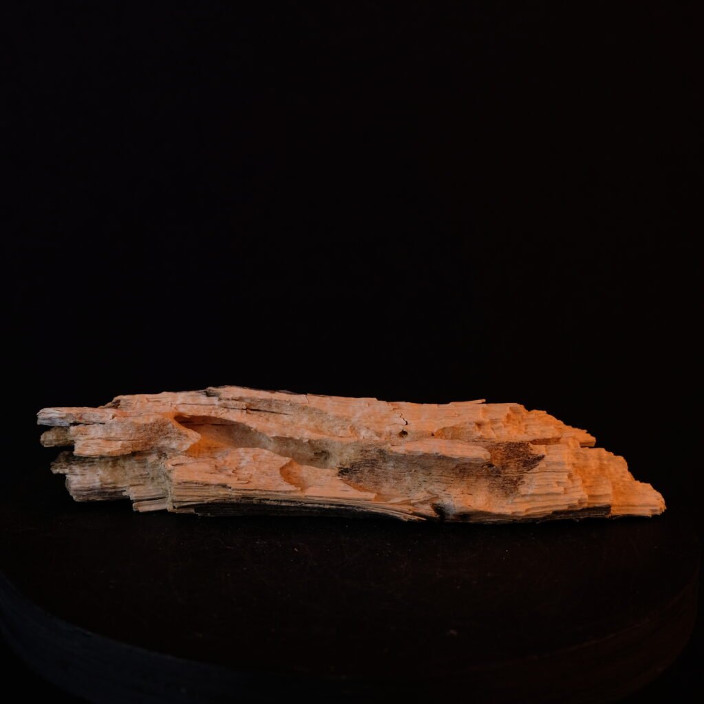 Astfragment