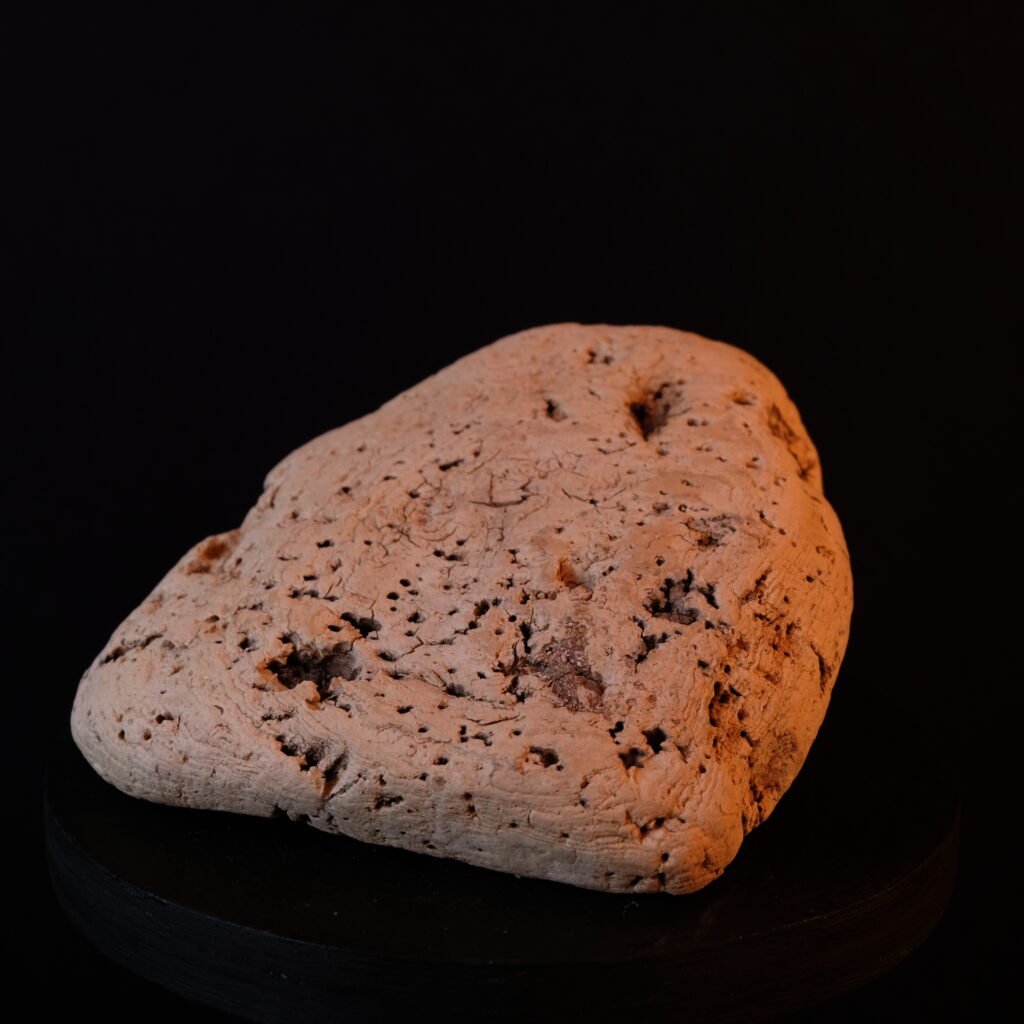 Korkrinde