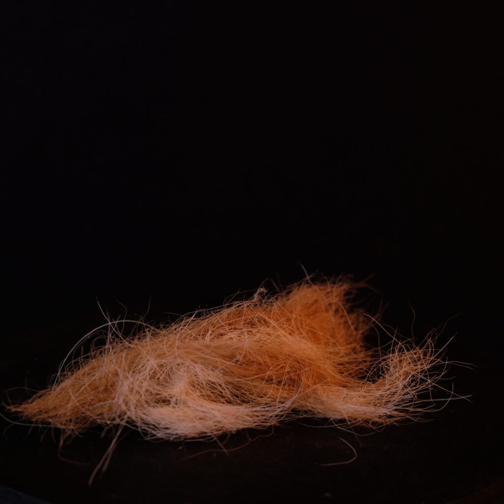 Schafswolle