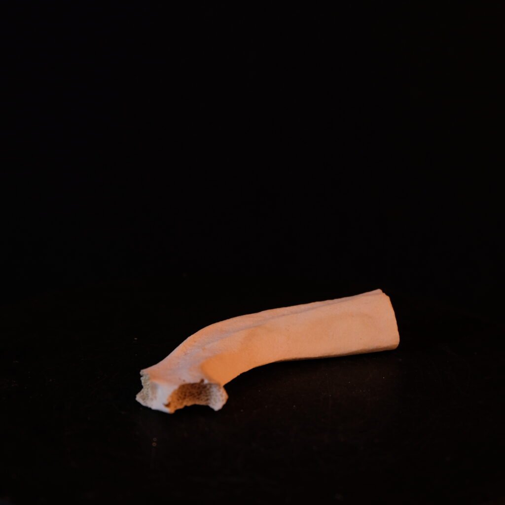 Knochen