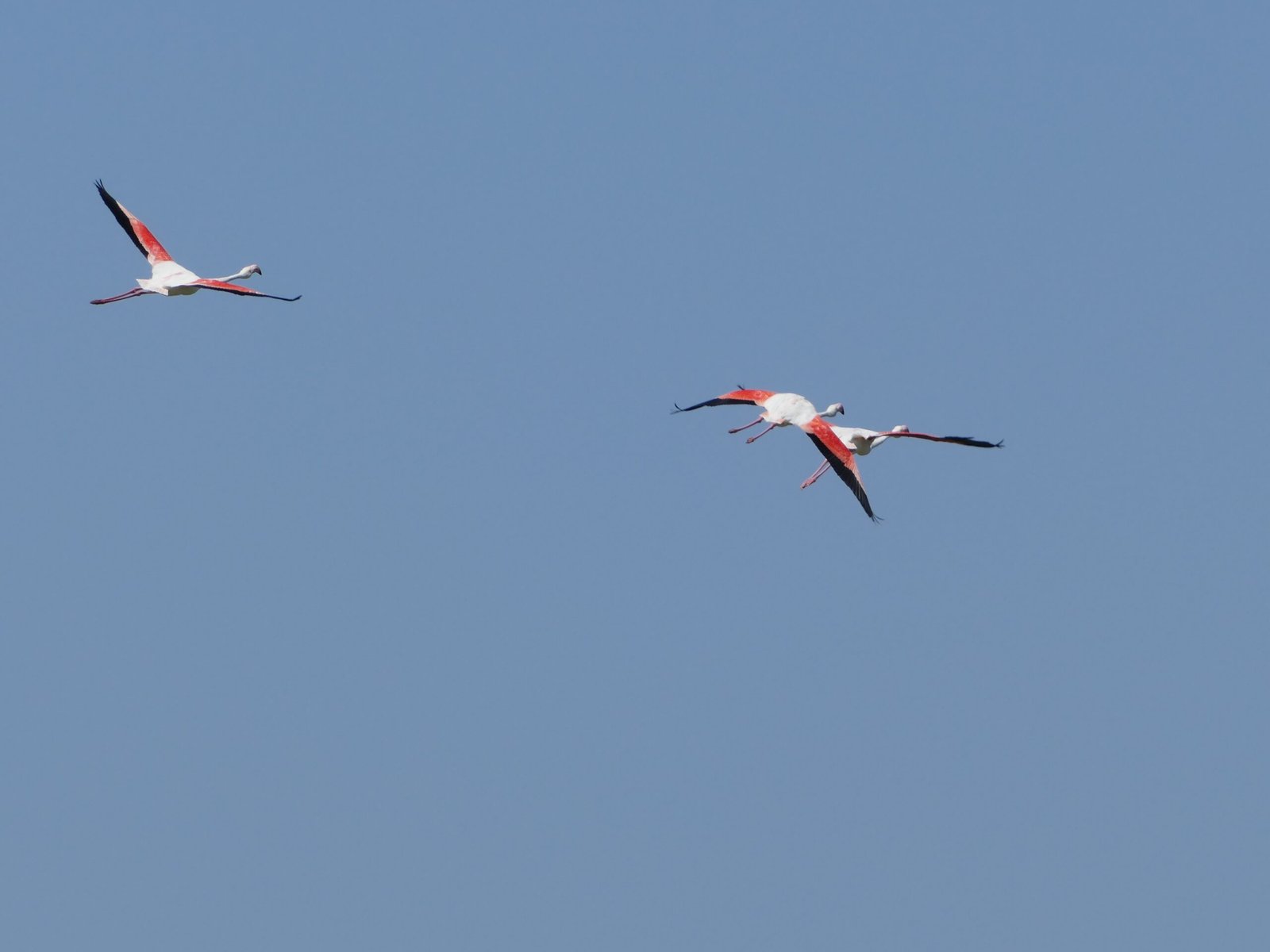 P2980010